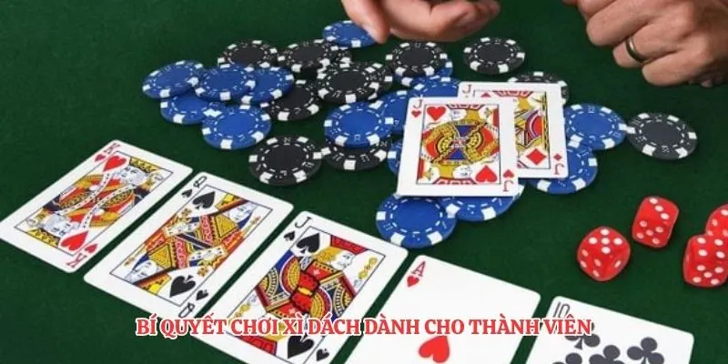 Bí quyết chơi xì dách dành cho thành viên