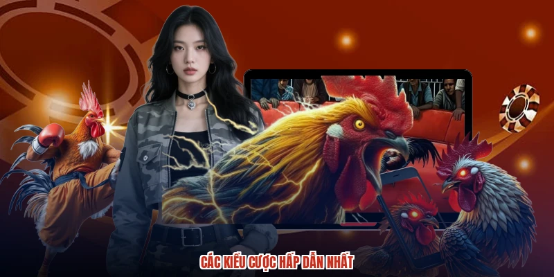 Các kiểu cược hấp dẫn nhất