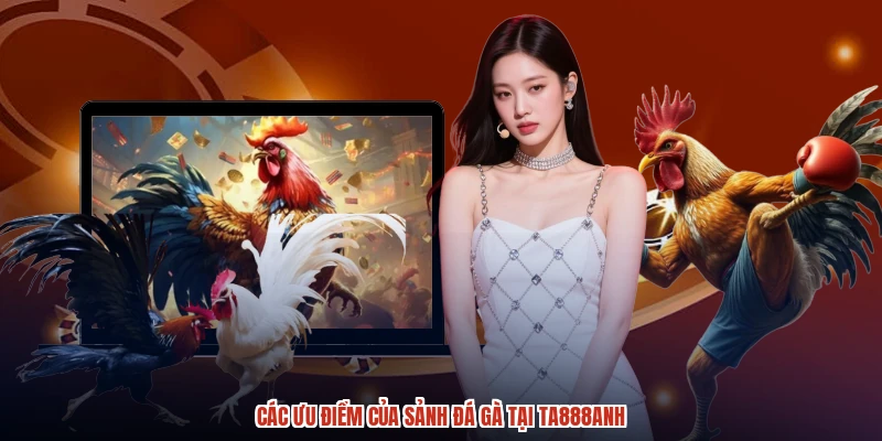 Các ưu điểm của sảnh đá gà tại TA888anh