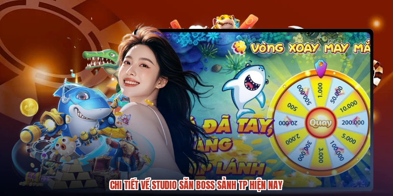 Chi tiết về studio săn boss sảnh TP hiện nay