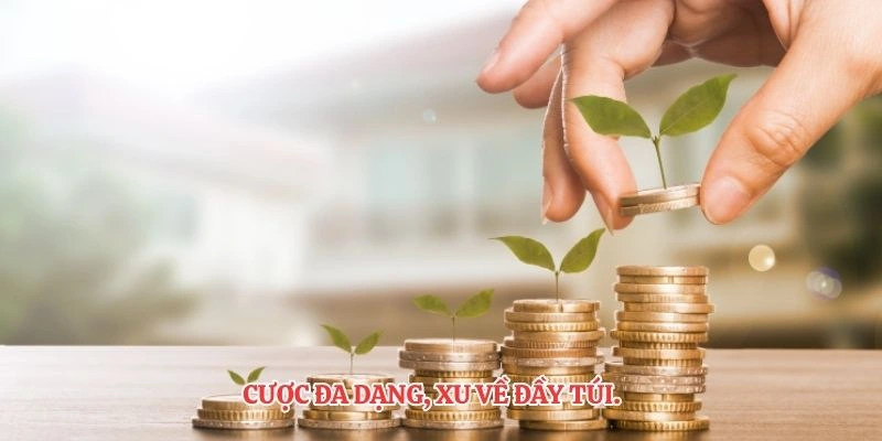 Cược đa dạng, xu về đầy túi.