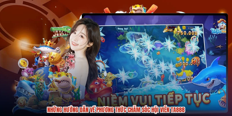Những hướng dẫn về phương thức chăm sóc hội viên TA888