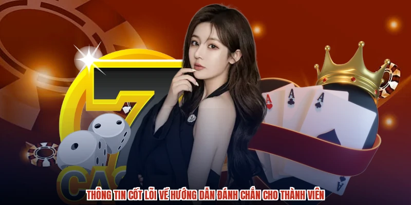 Thông tin cốt lõi về hướng dẫn đánh chắn cho thành viên
