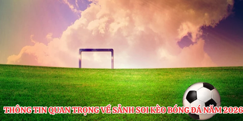 Thông tin quan trọng về sảnh soi kèo bóng đá năm 2026