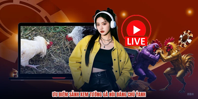 Ưu điểm sảnh xem tướng gà nòi đáng chú ýanh
