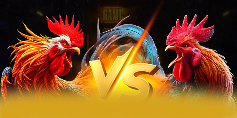 GOOD88 - Cổng game cung cấp hàng trăm tựa game đẳng cấp hiện nay GOOD88 - Cổng game cung cấp hàng trăm tựa game đẳng cấp hiện nay